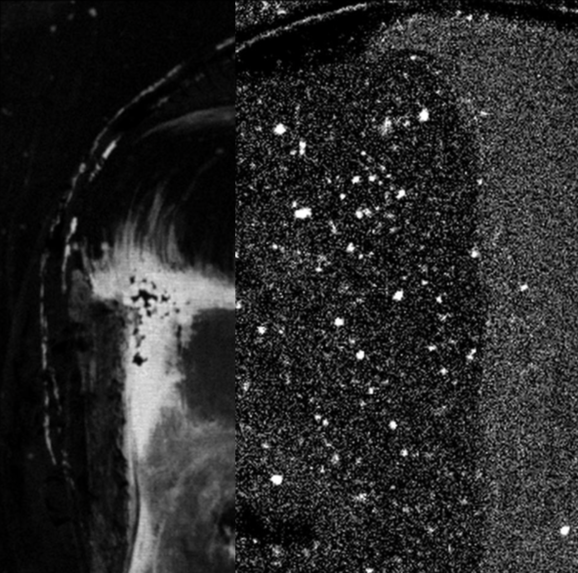 A dynamic visualisation overlaying the distribution maps of the mercury and lead elements in the halo, showing underdrawing