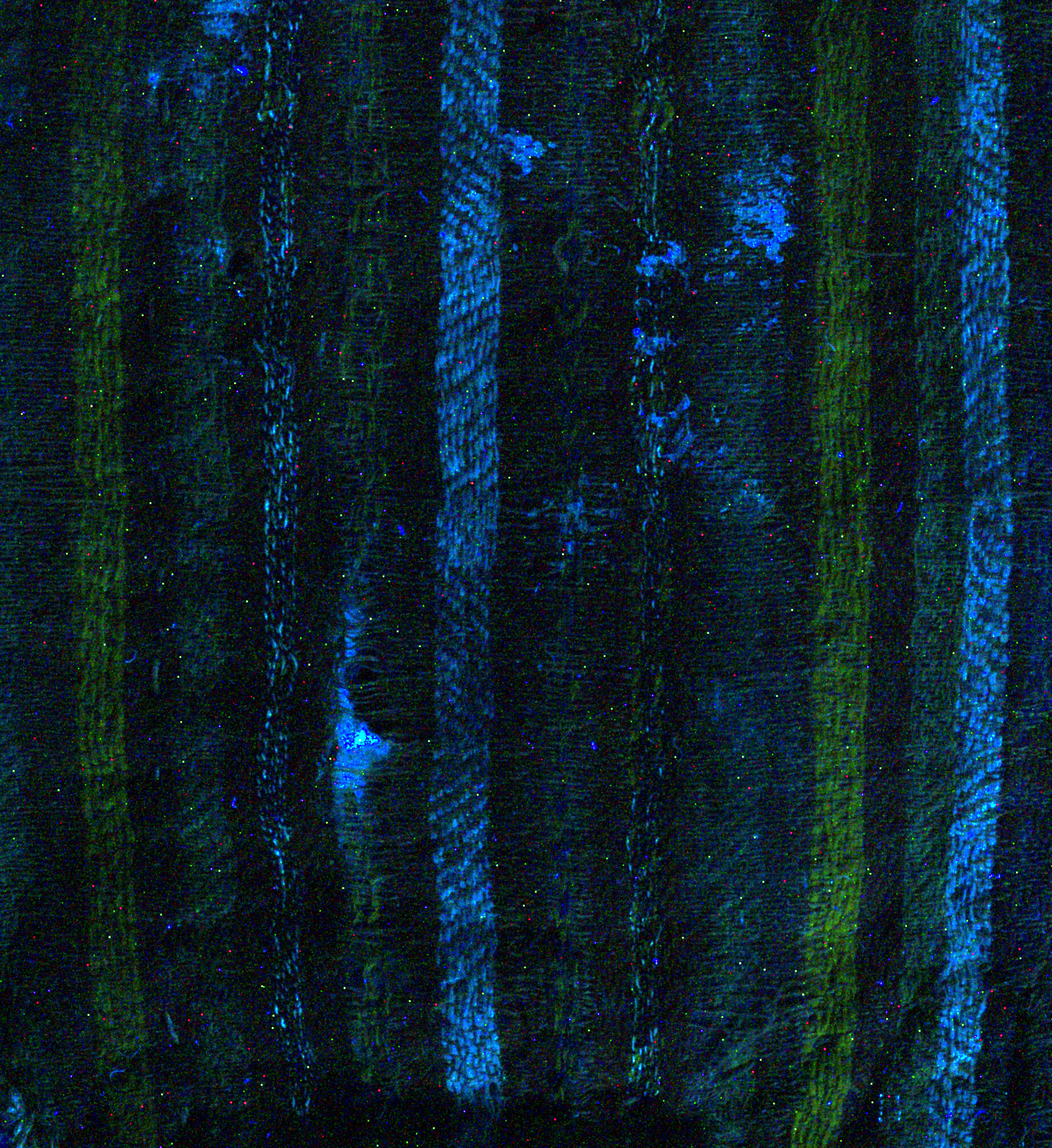 Close-up detail of the textile seal bag of the Holy Trinity charter showing fluorescence of the lighter stripes under UV.