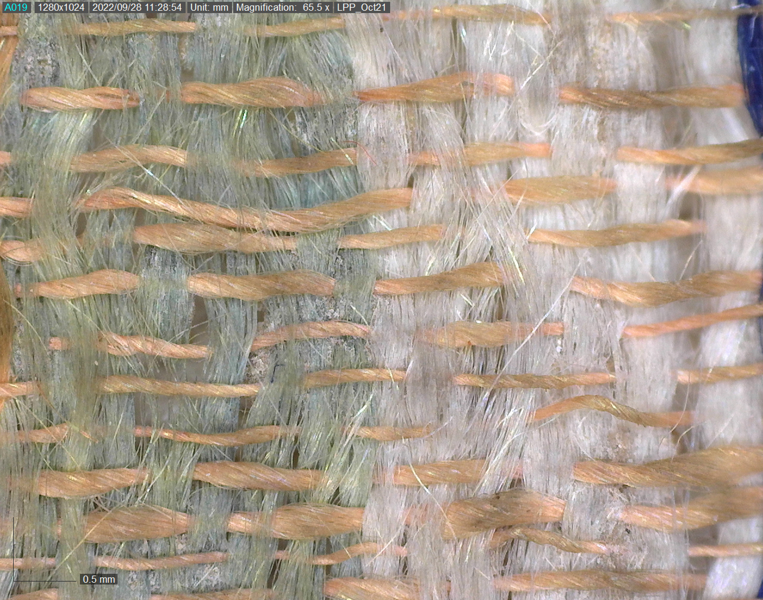 Microscopy detail of the textile seal bag of the Holy Trinity charter showing a weft of green and white silk and a beige warp.