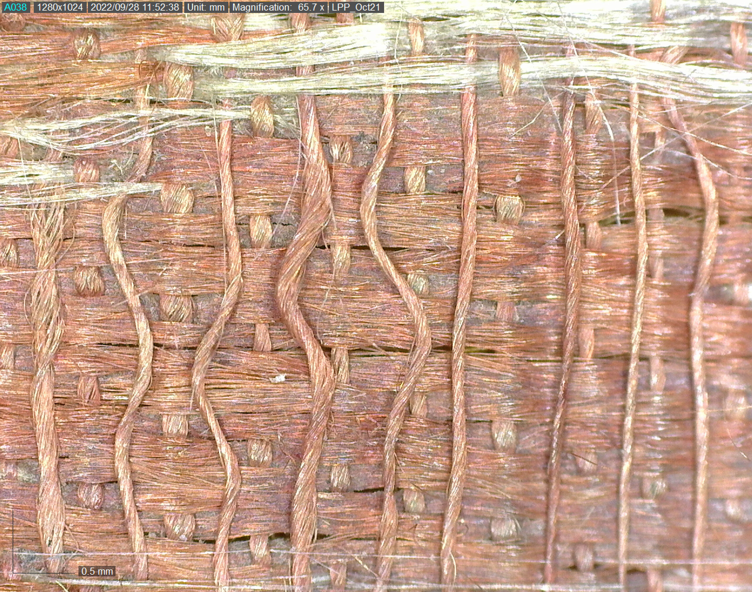 Microscopy detail of the back of the red-pinkish silk seal bag showing the damage and loss of the white weft at higher magnification.